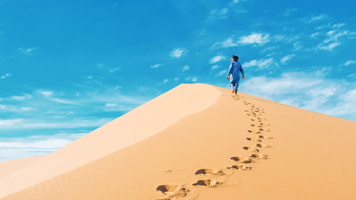 Fes to Sahara Desert;