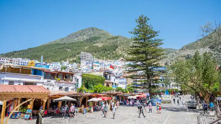 mountain behind the blue chefchaouen city with green trees