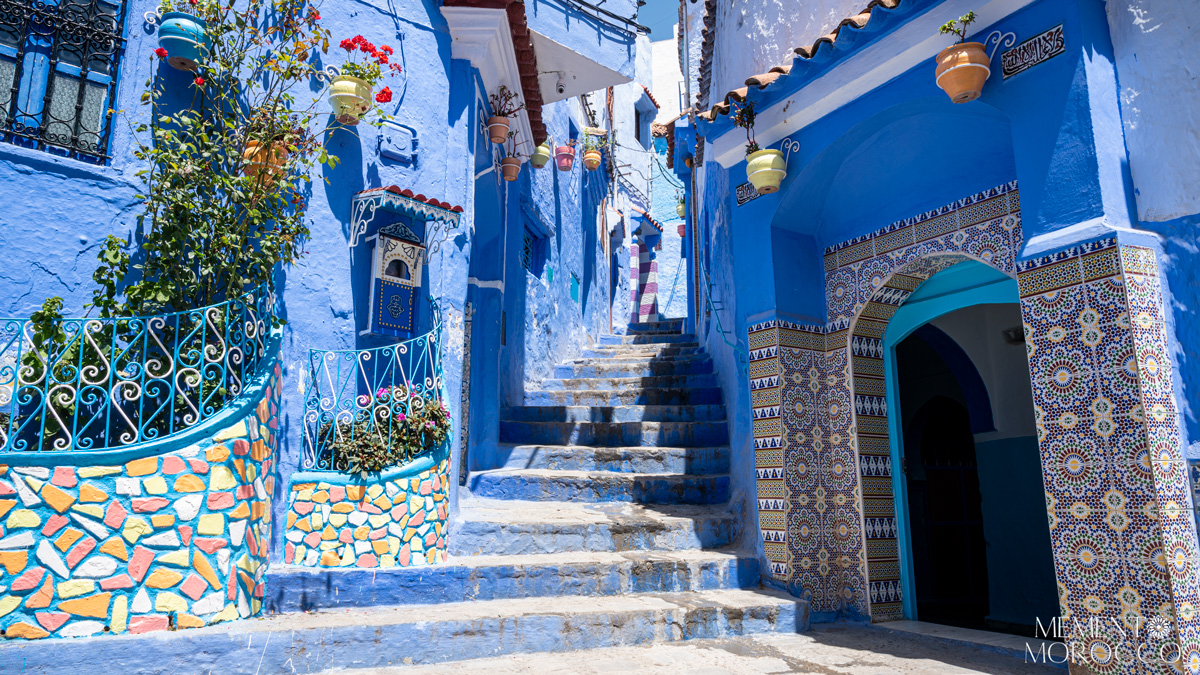 beautiful door and stairs decorated colorful planters in chefchaouen