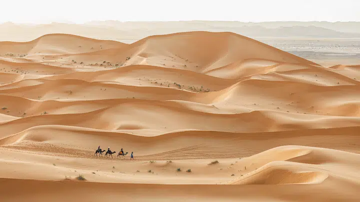 camel trekking in sand dunes in merzouga