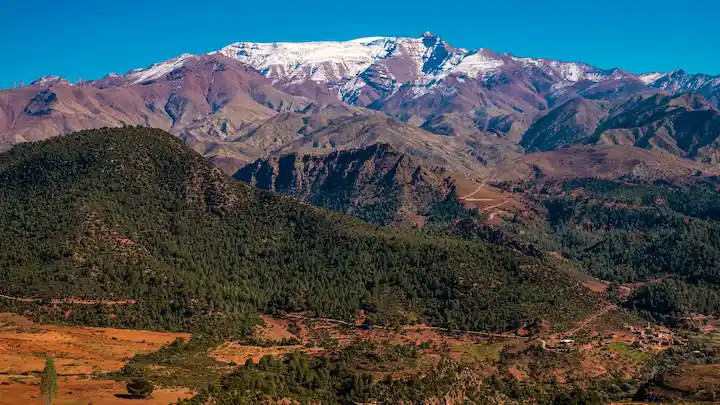 forest and snow on high atlas mountains in morocco