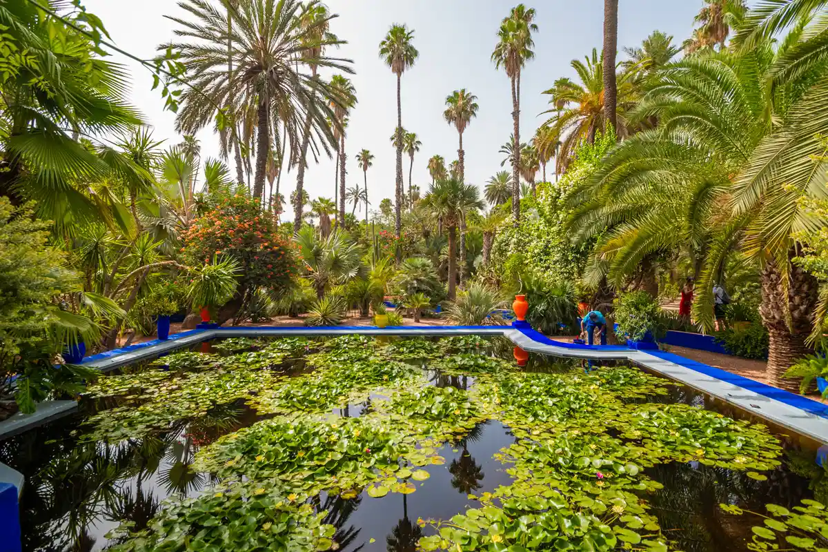 lake inside le jardin majorelle marrakech