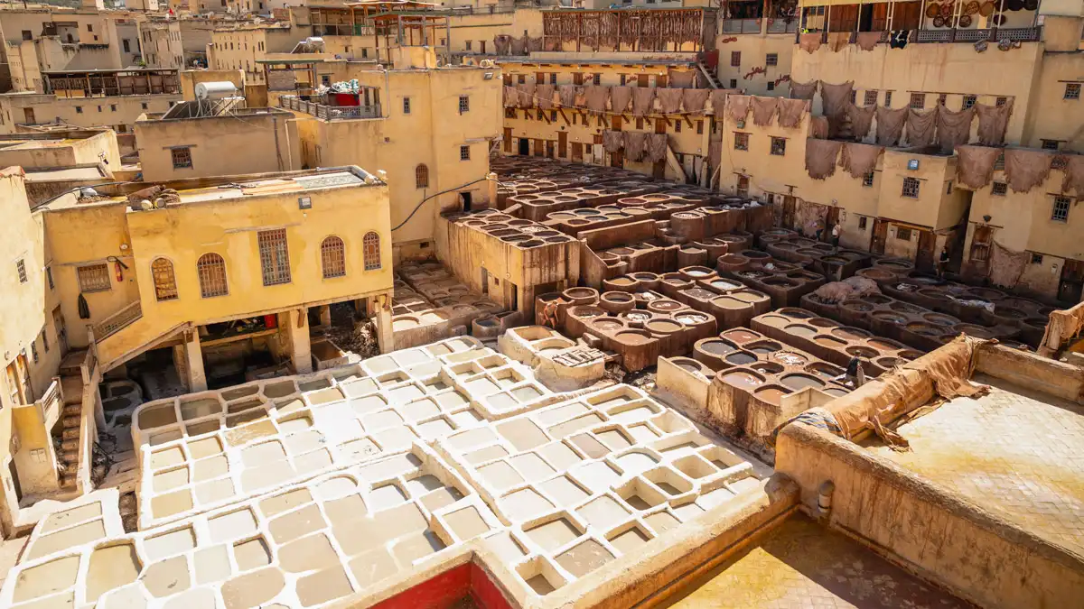 Tannery chouara in fez