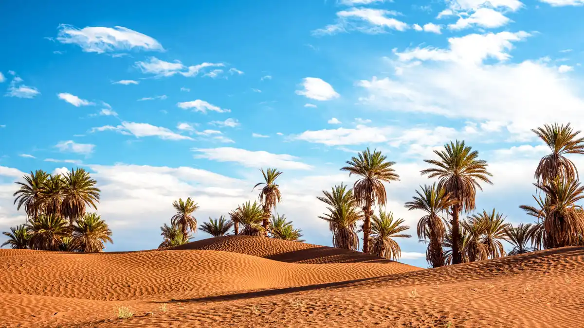 oases in the sahara desert in morocco: best month to travel to morocco