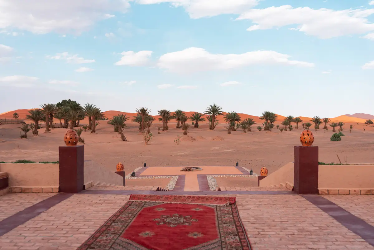 Snakes and Scorpions in the Morocco Desert