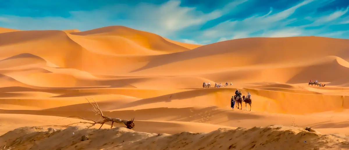 Is a Sahara Desert Tour Worth It