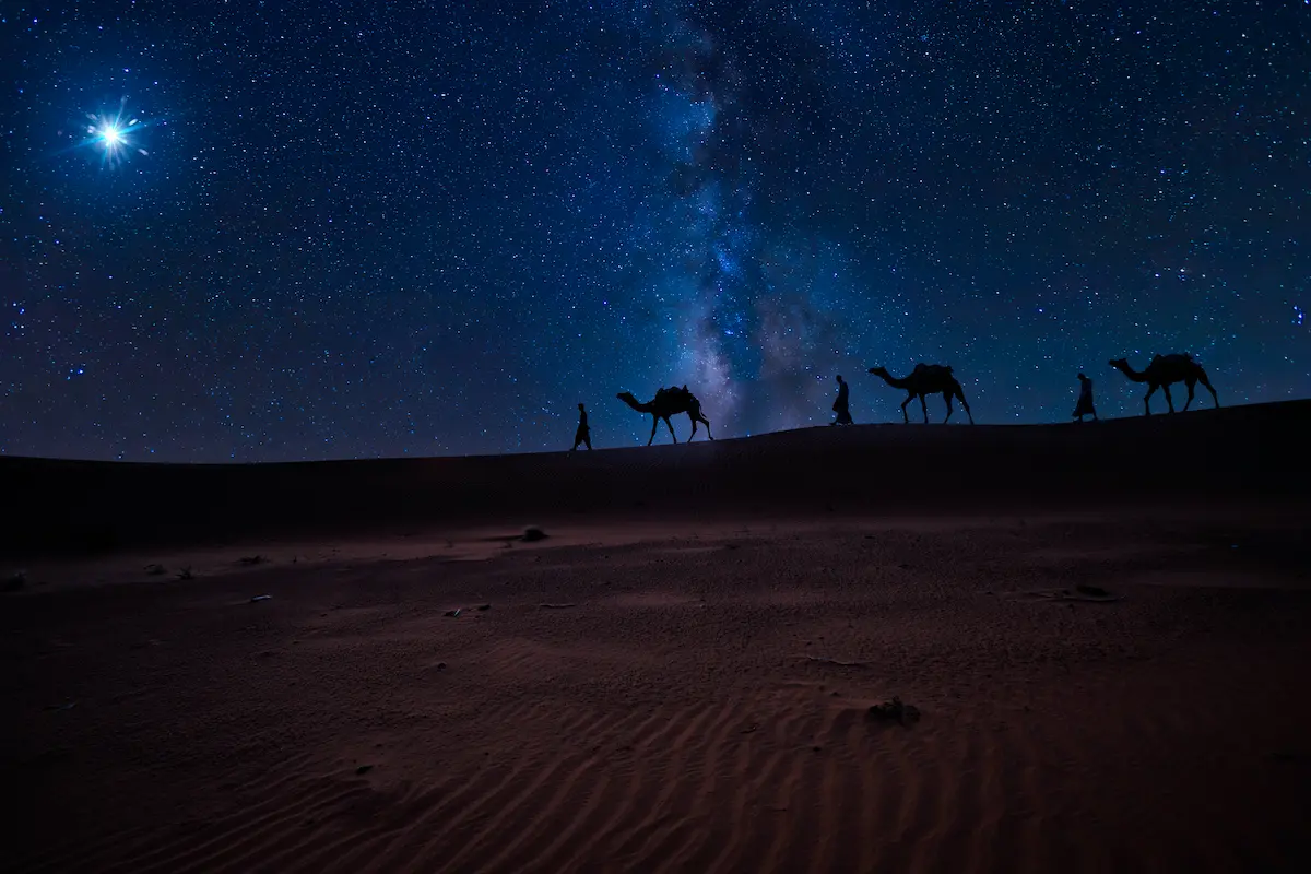Sahara Desert Stargazing